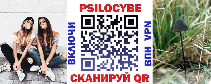 где найти наркотики  Орлов  мега как зайти  Псилоцибиновые грибы MAGIC MUSHROOMS 